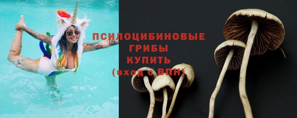 бошки Краснослободск