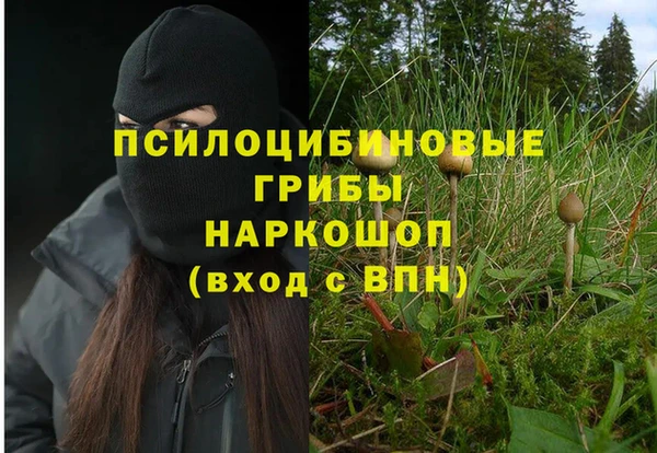 бошки Краснослободск